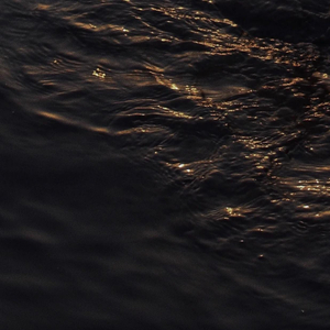 男同成人激烈视频
